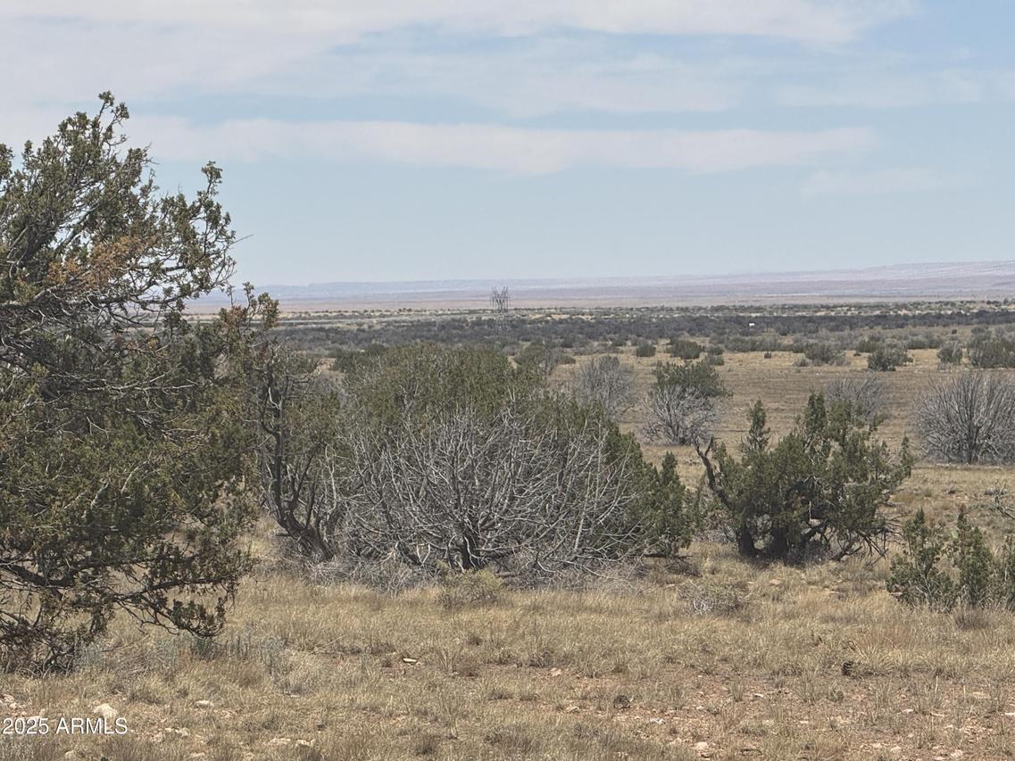 Lot 205 Chevlon Canyon Ranch #205, Heber, AZ 85928