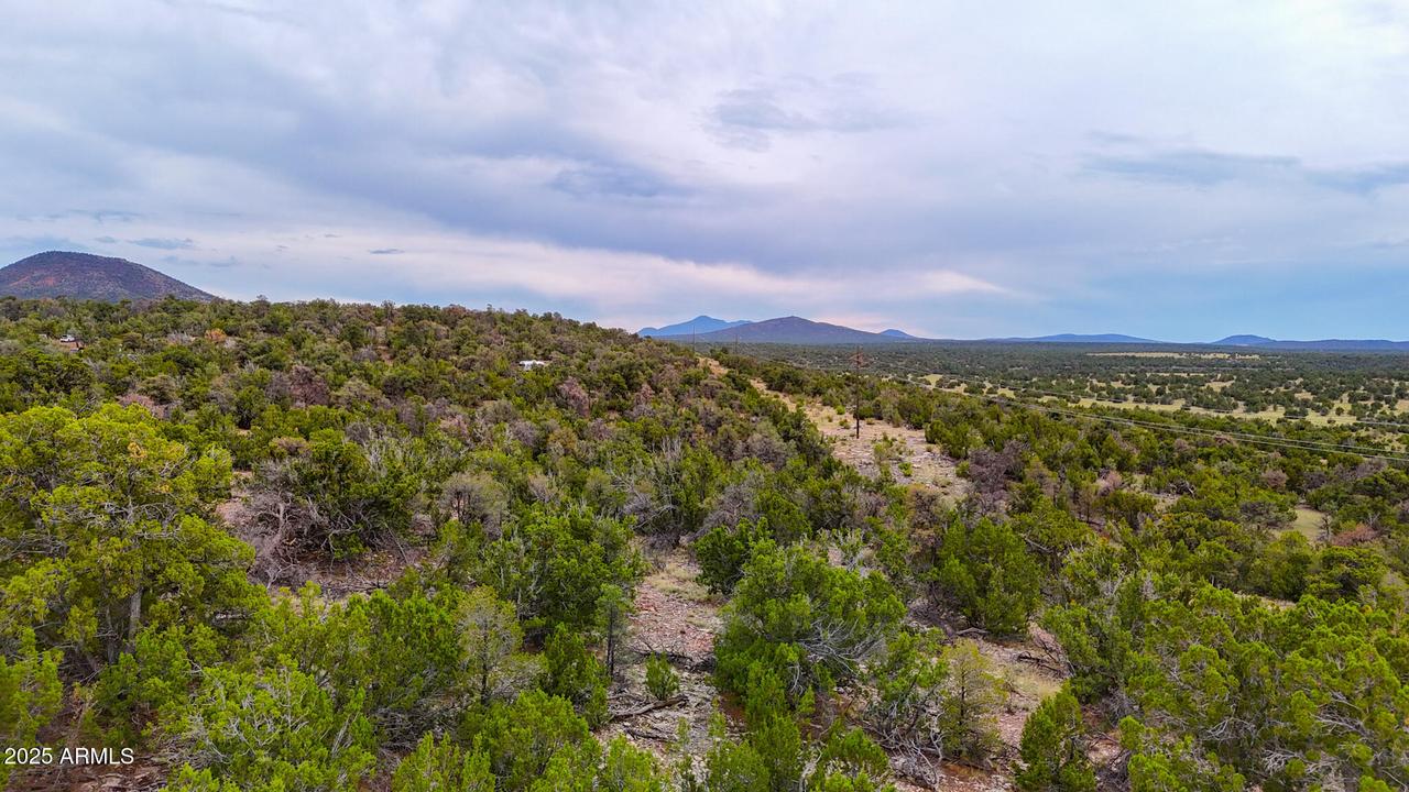 132 E Sidewinder Rd. #438, Williams, AZ 86046