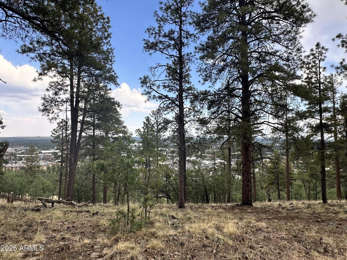 1548 W Lower Coconino Ave. #8, Flagstaff, AZ 86001