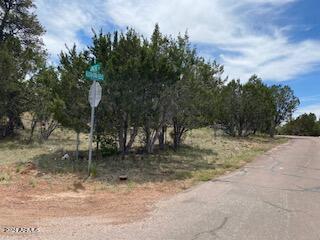 3405 Buckhorn Bend Rd., Overgaard, AZ 85933