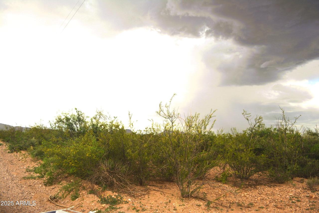 TBD E Calle Principal #128, Douglas, AZ 85607