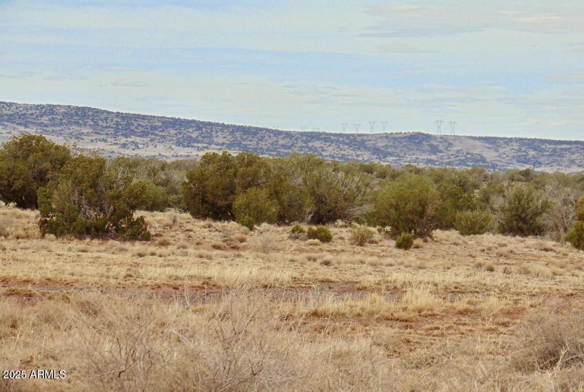 TBD County Rd 5407 204-50-330a #-, Concho, AZ 85924