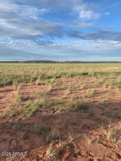 TBD 45 Acres #28, St Johns, AZ 85936