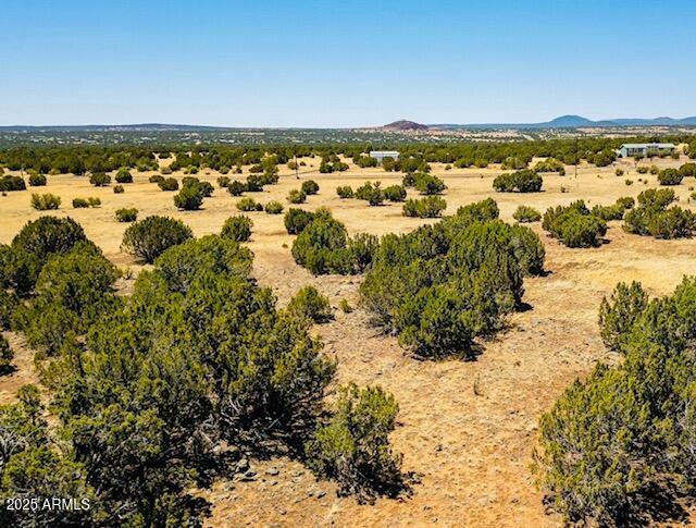 8692 Supancheck Rd. #45, Show Low, AZ 85901