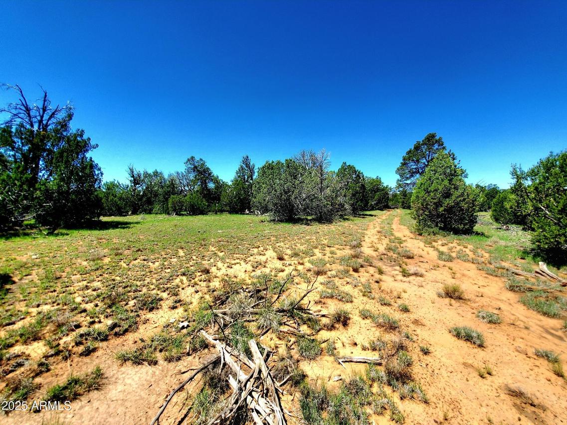 8571 Haven Crest Dr. #229, Happy Jack, AZ 86024