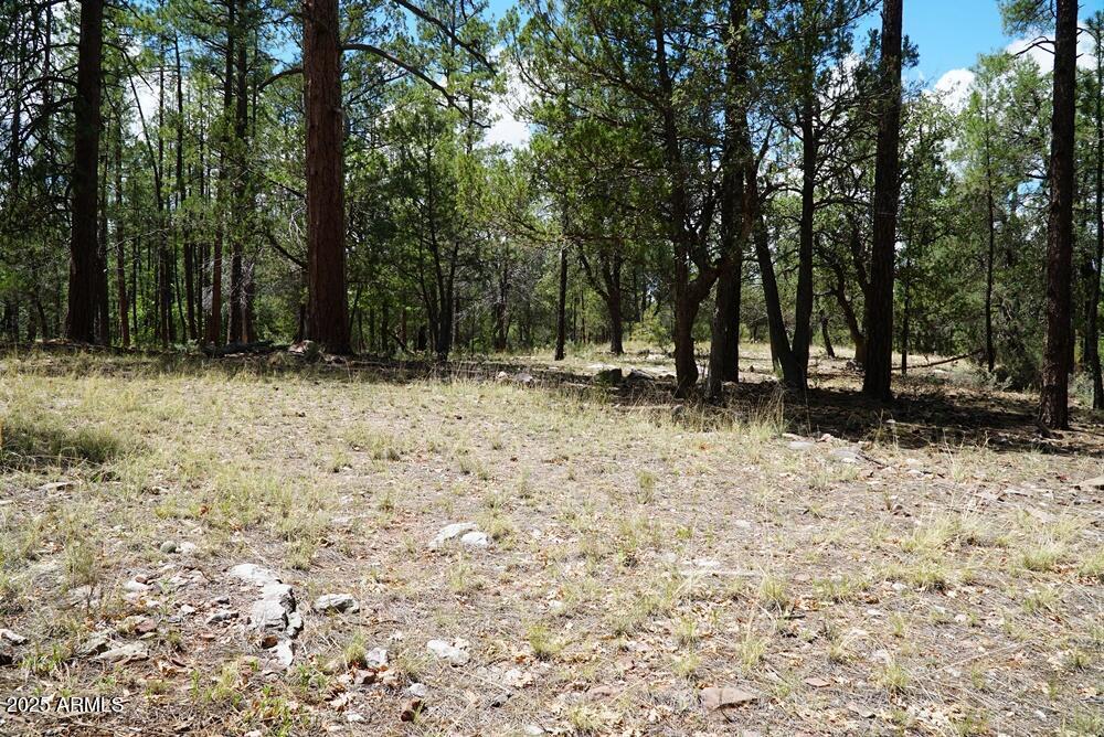 283 S Lookout Tr. #44, Payson, AZ 85541