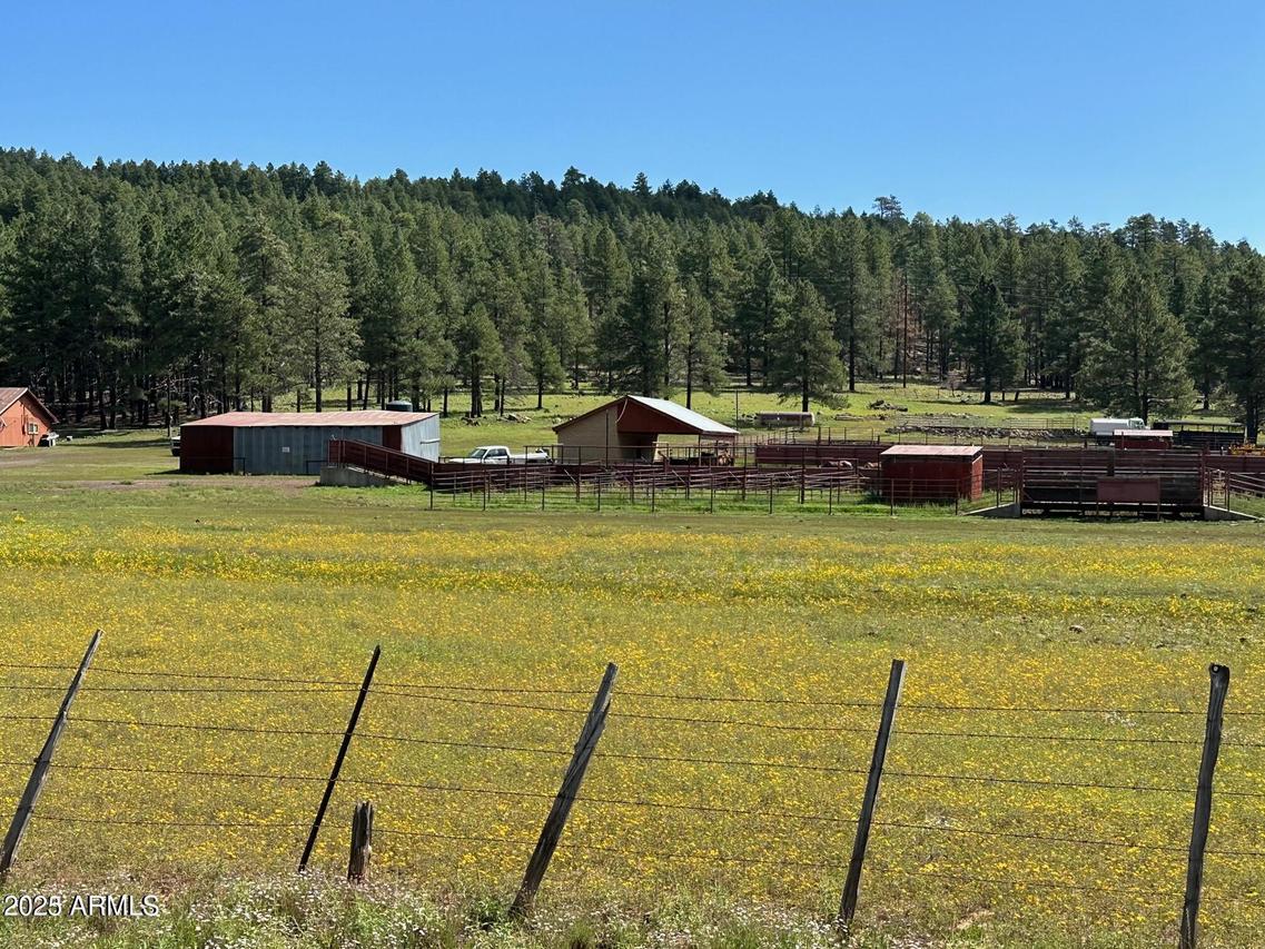 17xx4 E Forest Service 772 Ln. #-, Munds Park, AZ 86017