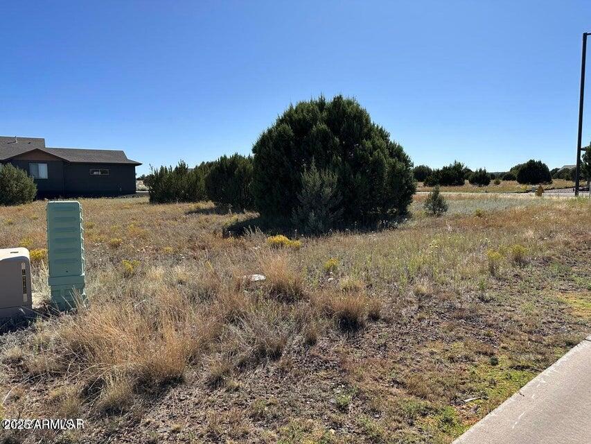 1001 S Ridgeway Pl. #111, Show Low, AZ 85901