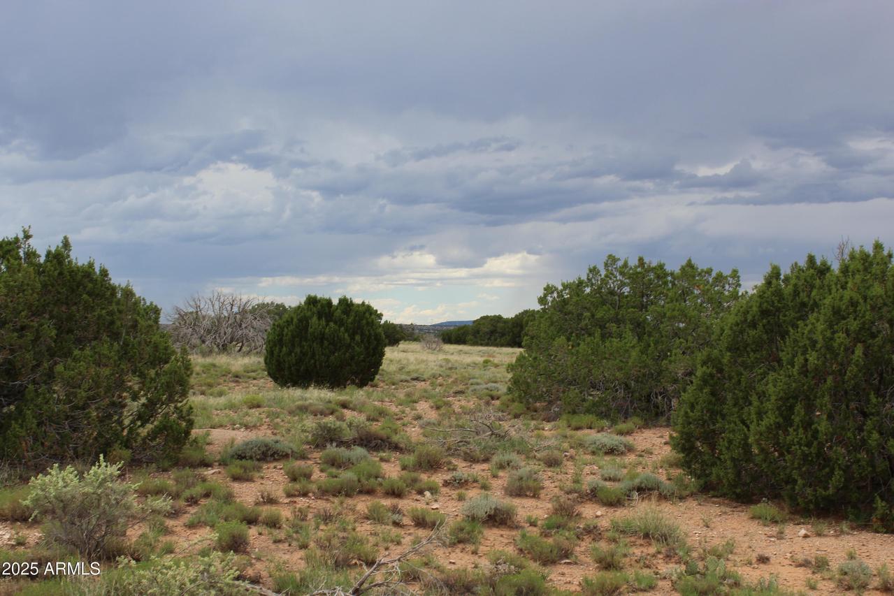 5143 Rockwell Rd. #019, Heber, AZ 85928