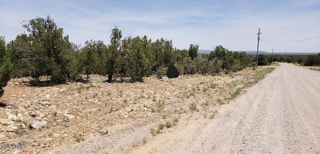5113 Sunset Ridge Loop #187, Happy Jack, AZ 86024