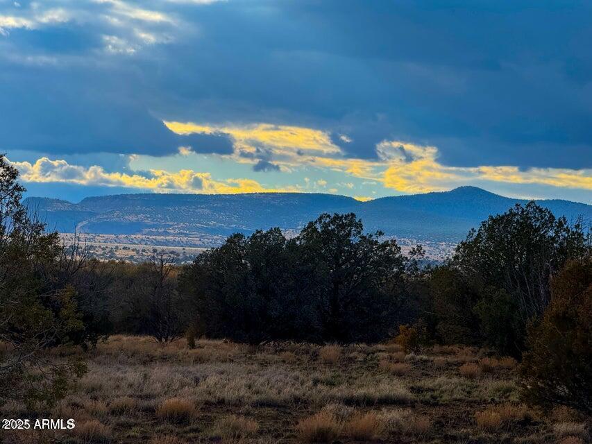 W Big Moon Ln. Lot B #14, Ash Fork, AZ 86320