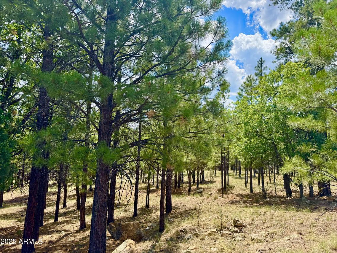 2684 Apache Dr. #571, Happy Jack, AZ 86024
