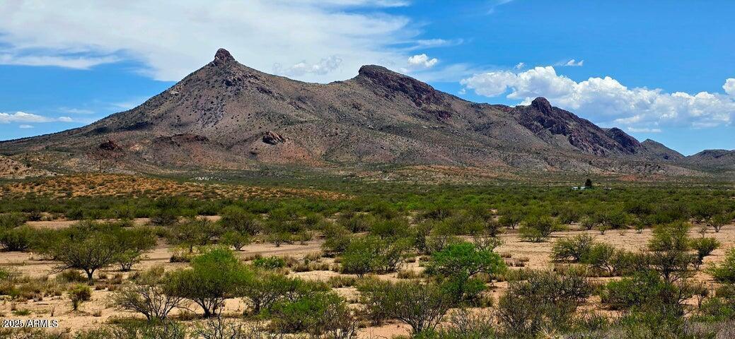 38.76 Acre N Bruno Rd. #-, Douglas, AZ 85607