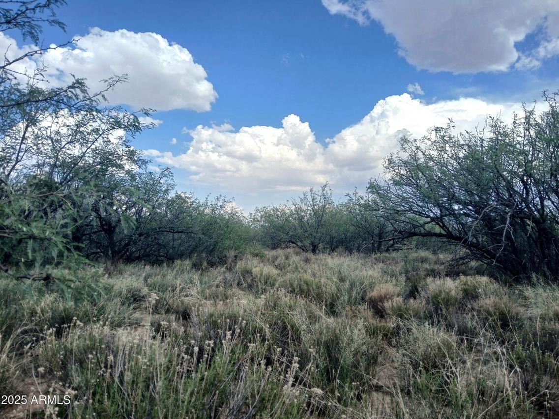 TBD W Dreamcatcher Way #-, Cochise, AZ 85606