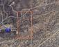 New Homes For Sale This Week in Marana: August 8th to August 14th