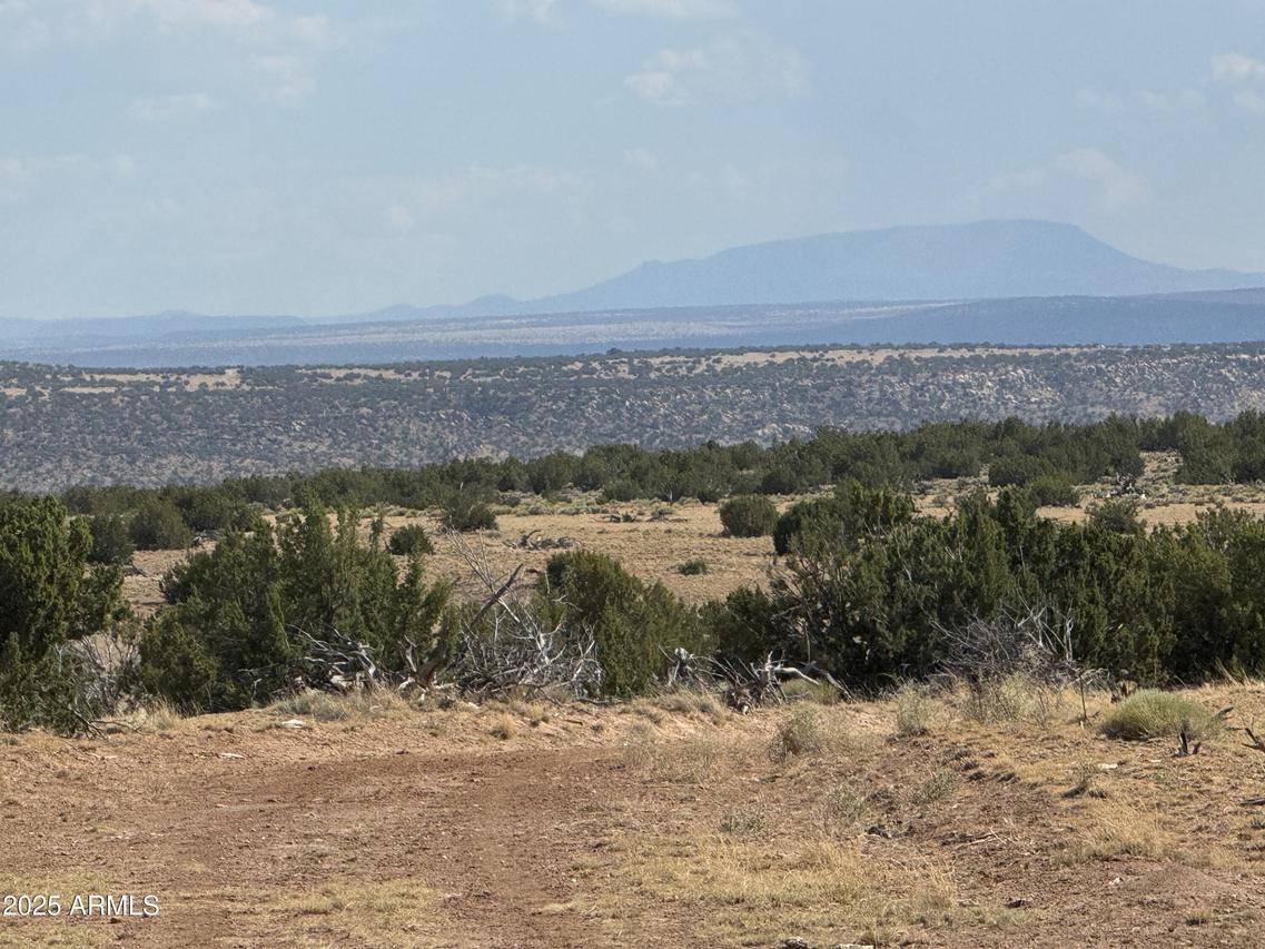 Lot 545C Woodland Valley Ranch #545C, St Johns, AZ 85936