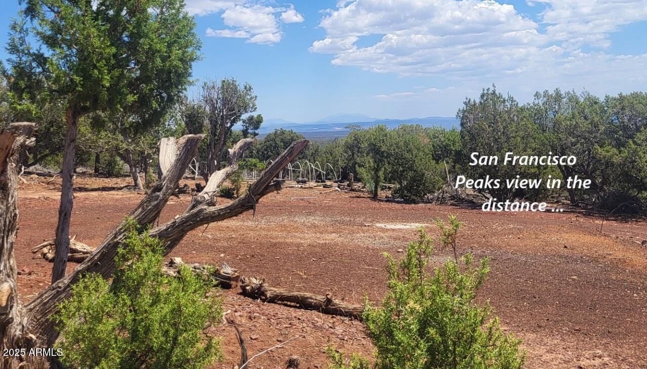 13631 E Cable Rd. #142A, Williams, AZ 86046