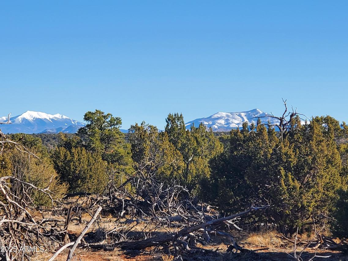 2589 N Lipan Rd. #203, Williams, AZ 86046