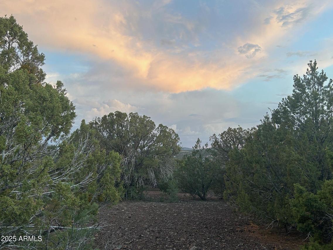 lot 11 Uphill Trail #11, Vernon, AZ 85940
