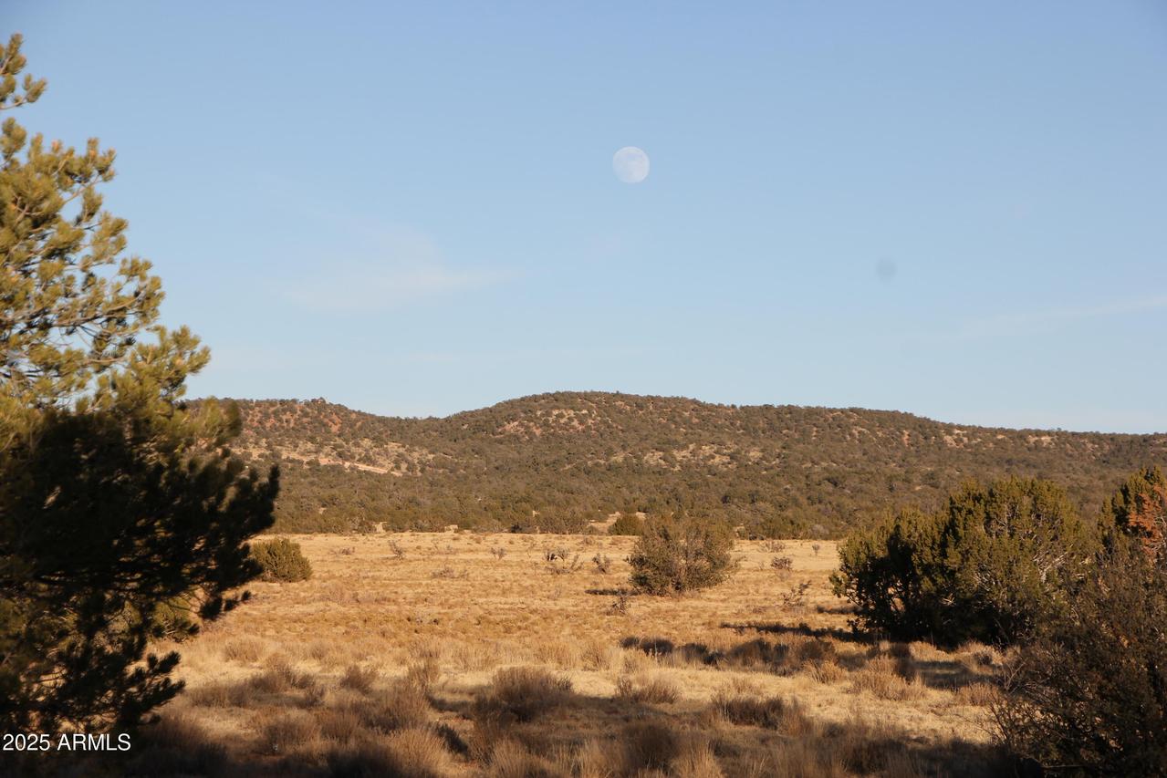 Wrangler N Wrangler Ridge Rd Rd. #30118203, Seligman, AZ 86337