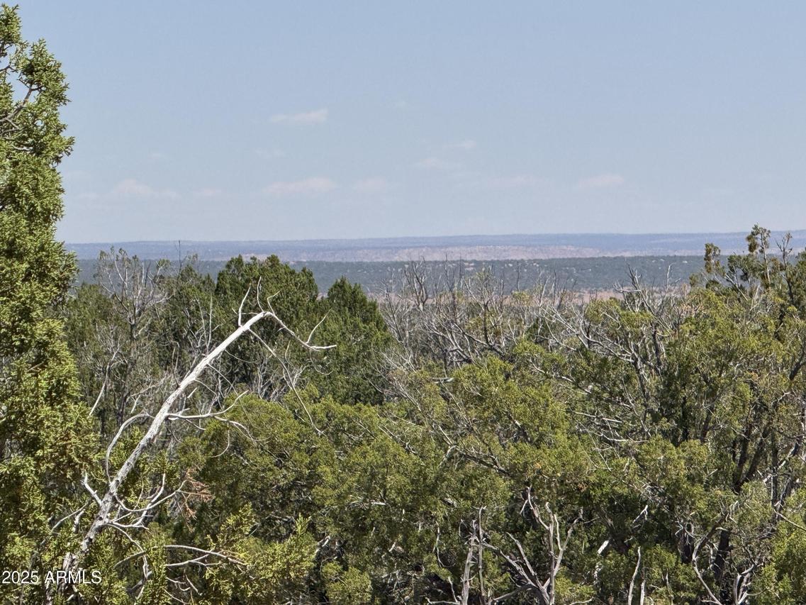 Lot 178 Red Sky Ranch #178, St Johns, AZ 85936