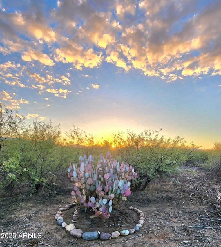 13122 W Dusty Flat Pl. #-, Tucson, AZ 85735