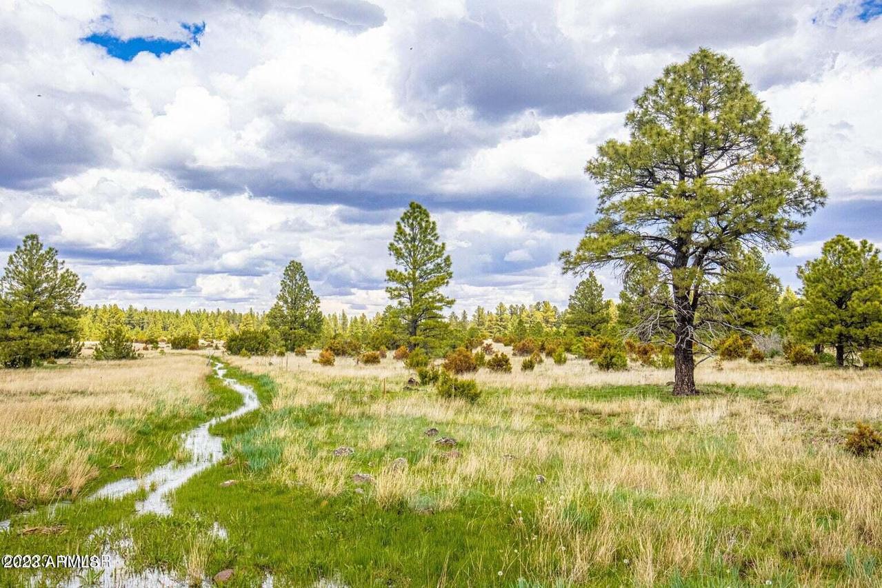 000 Dipping Vat Spring Fire Rd. #-, Vernon, AZ 85940