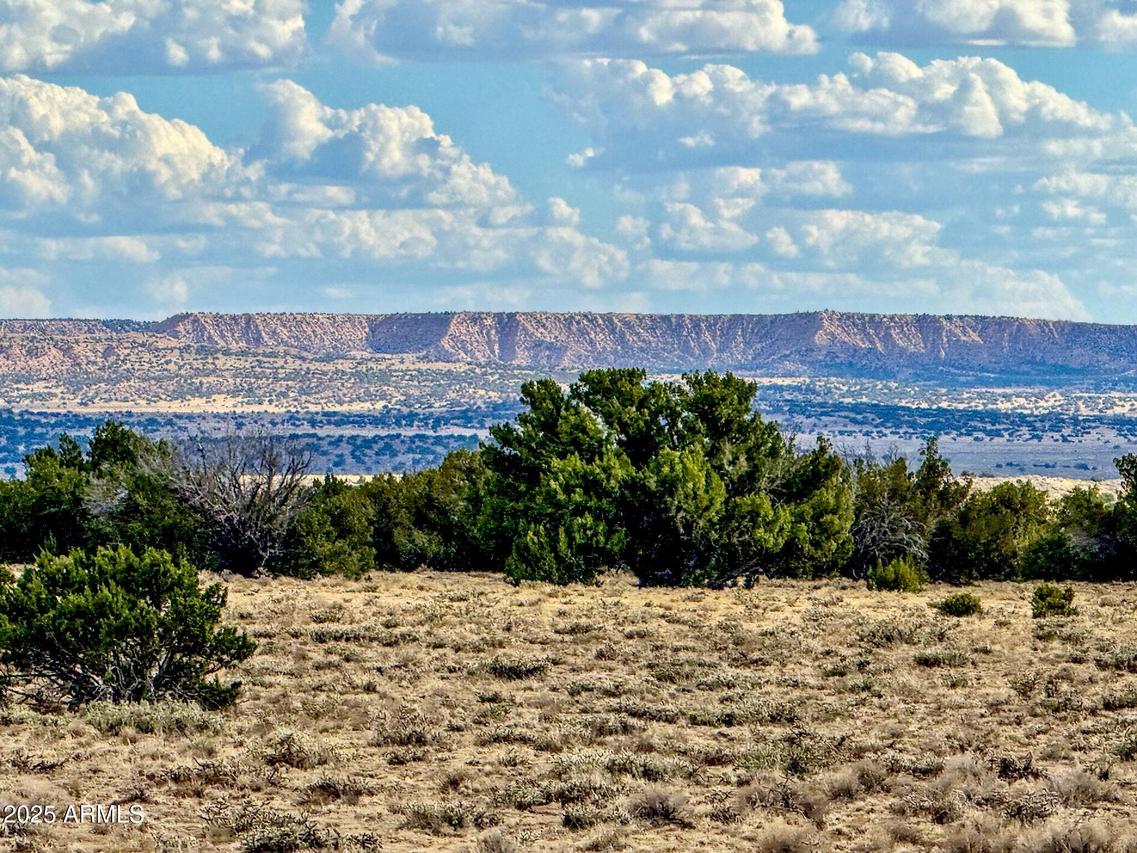 TBD Sanders 255 Acres #-, Sanders, AZ 86512