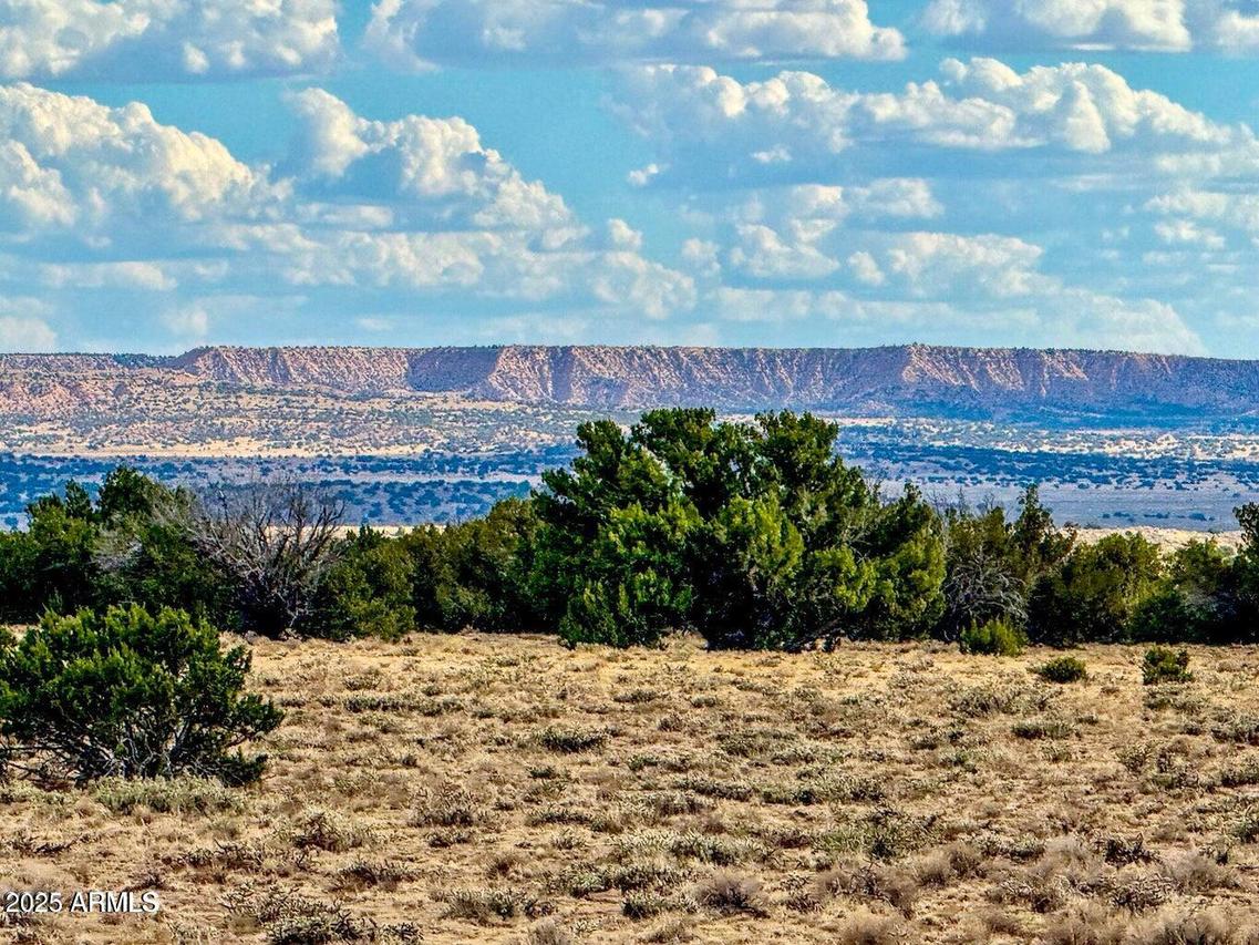 TBD Sanders 127.5 Acres Lot A #-, Sanders, AZ 86512