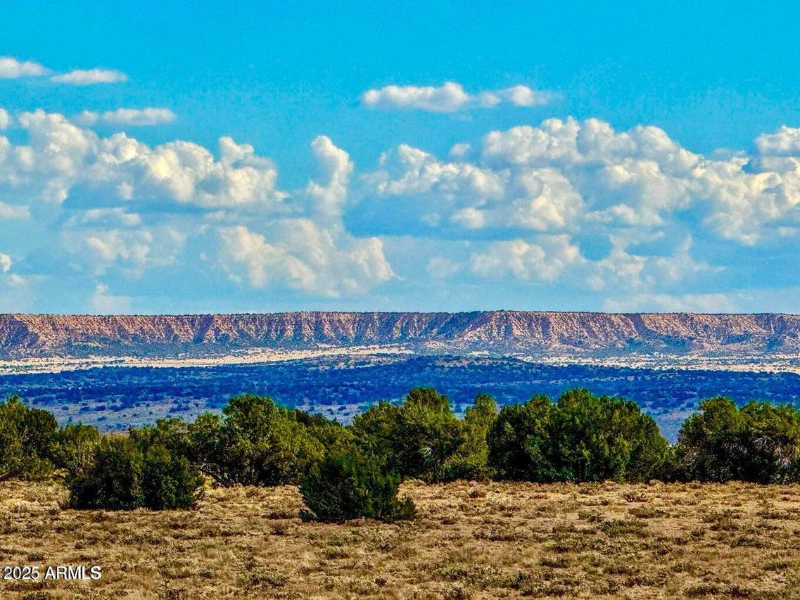 TBD Sanders 127.5 Acres Lot B #-, Sanders, AZ 86512