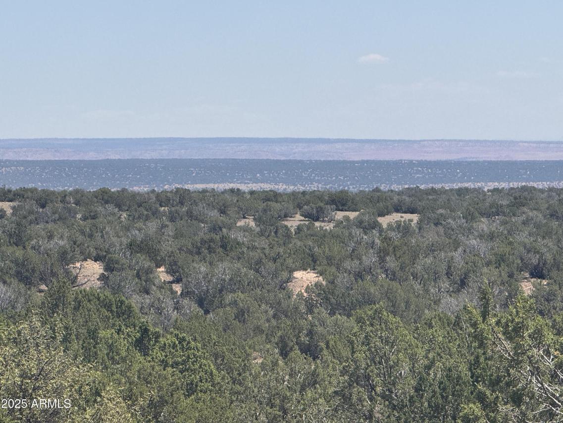 Lot 120B Red Sky Ranch #120B, St Johns, AZ 85936