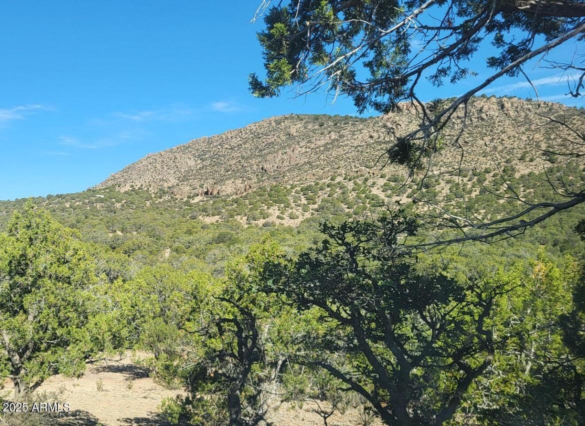 Lot 49 W Marvel Way #49, Williams, AZ 86046