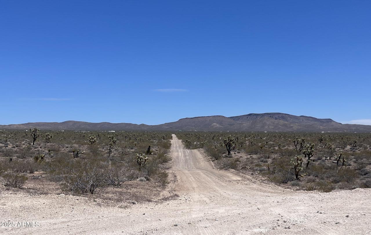 20455 N Skipper Blvd. #-, White Hills, AZ 86445
