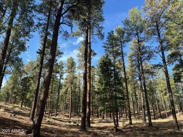 2184 N N Us-180 #101-46-020V, Alpine, AZ 85920