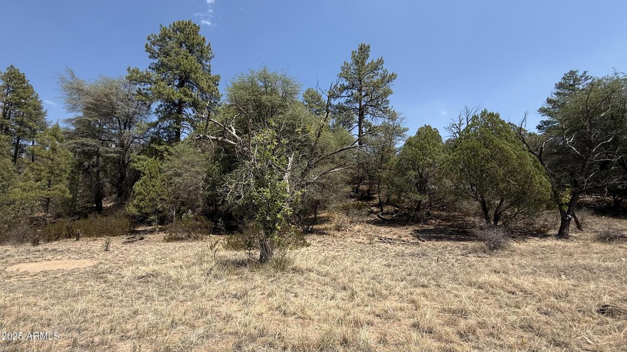 281 E Cline Crossing #C1-A, Young, AZ 85554