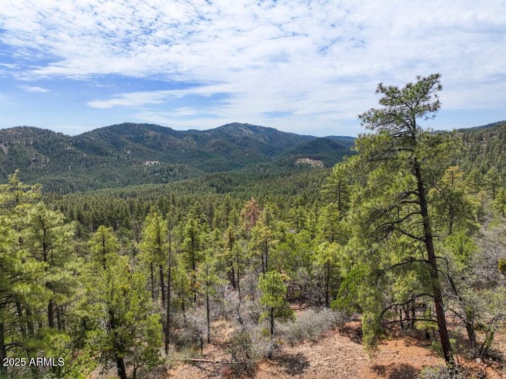 E Bald Mountain Rd. #-, Prescott, AZ 86303