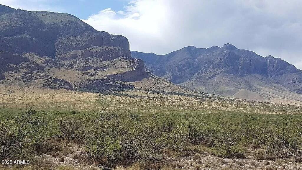 ---- 37 Acres Blacktail Rd. #-, San Simon, AZ 85632