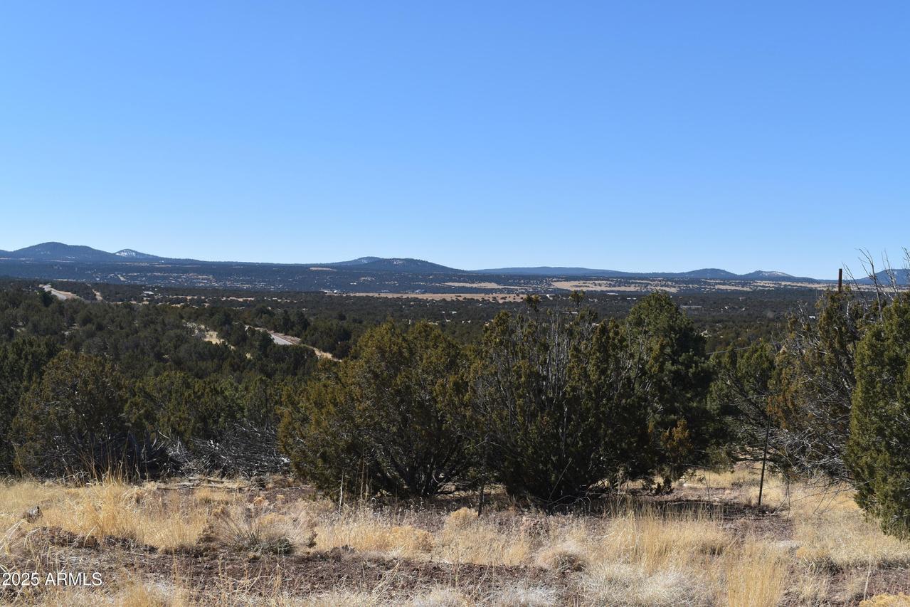 Stanford Rd. #-, Concho, AZ 85924
