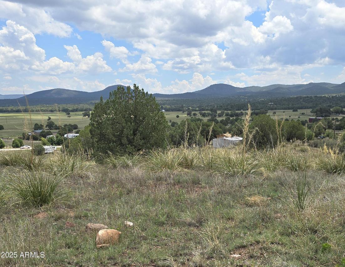 410 S Rolling Hill Rd. #1&2, Young, AZ 85554