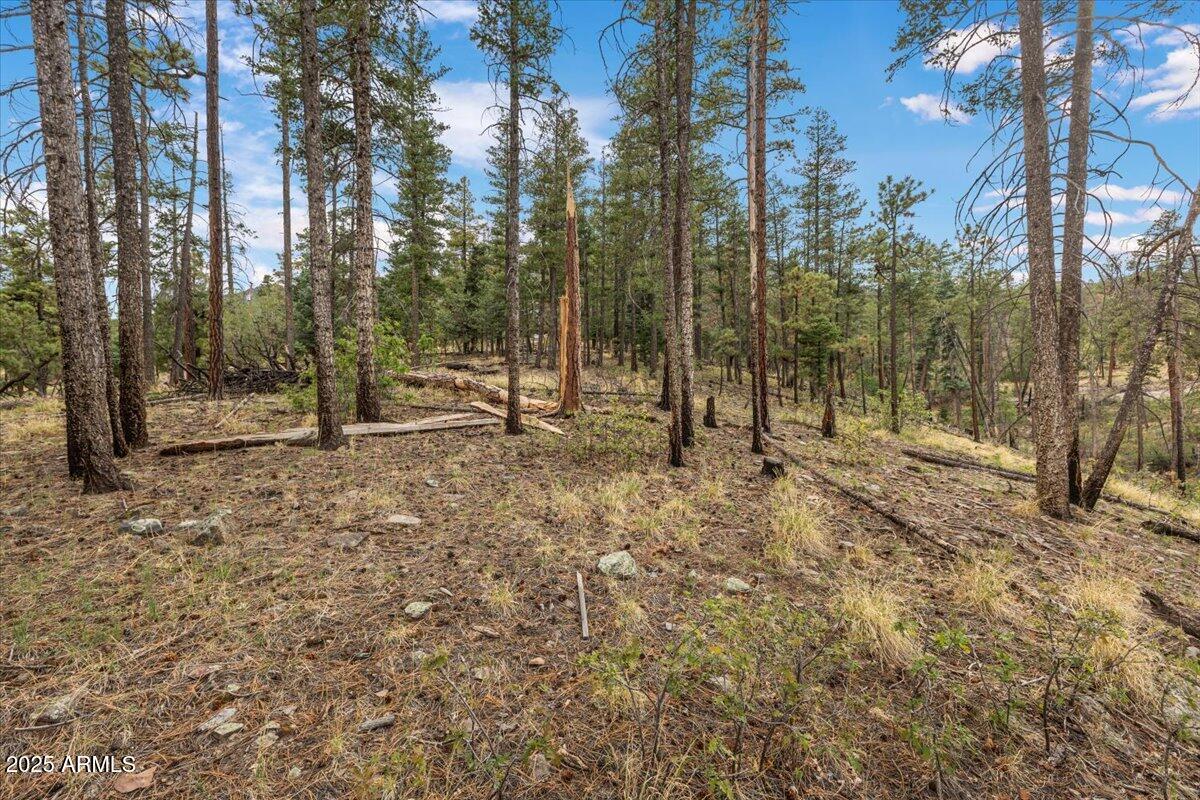 14 County Rd 2074 #29, Alpine, AZ 85920