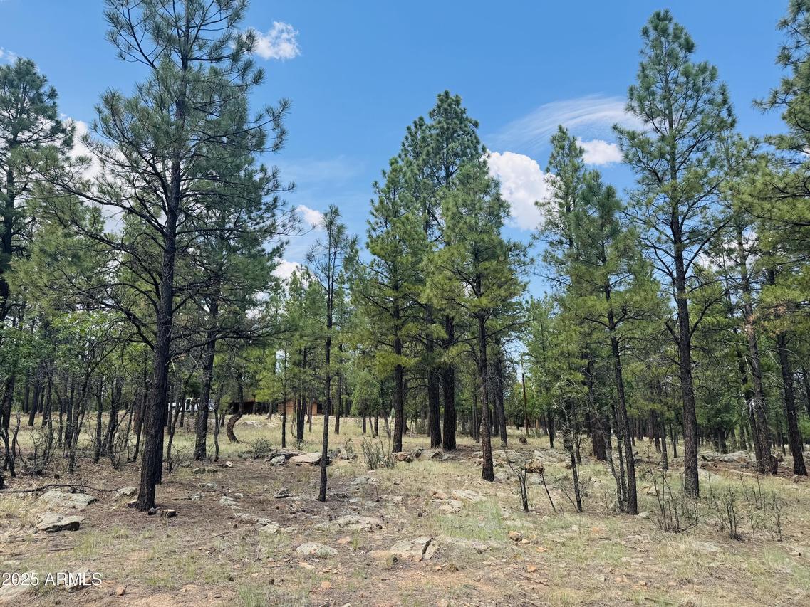 4185 Apache Dr. #429, Happy Jack, AZ 86024