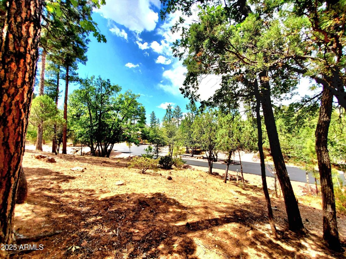 Lot 19 Strawberry Hollow Dr. #19, Pine, AZ 85544