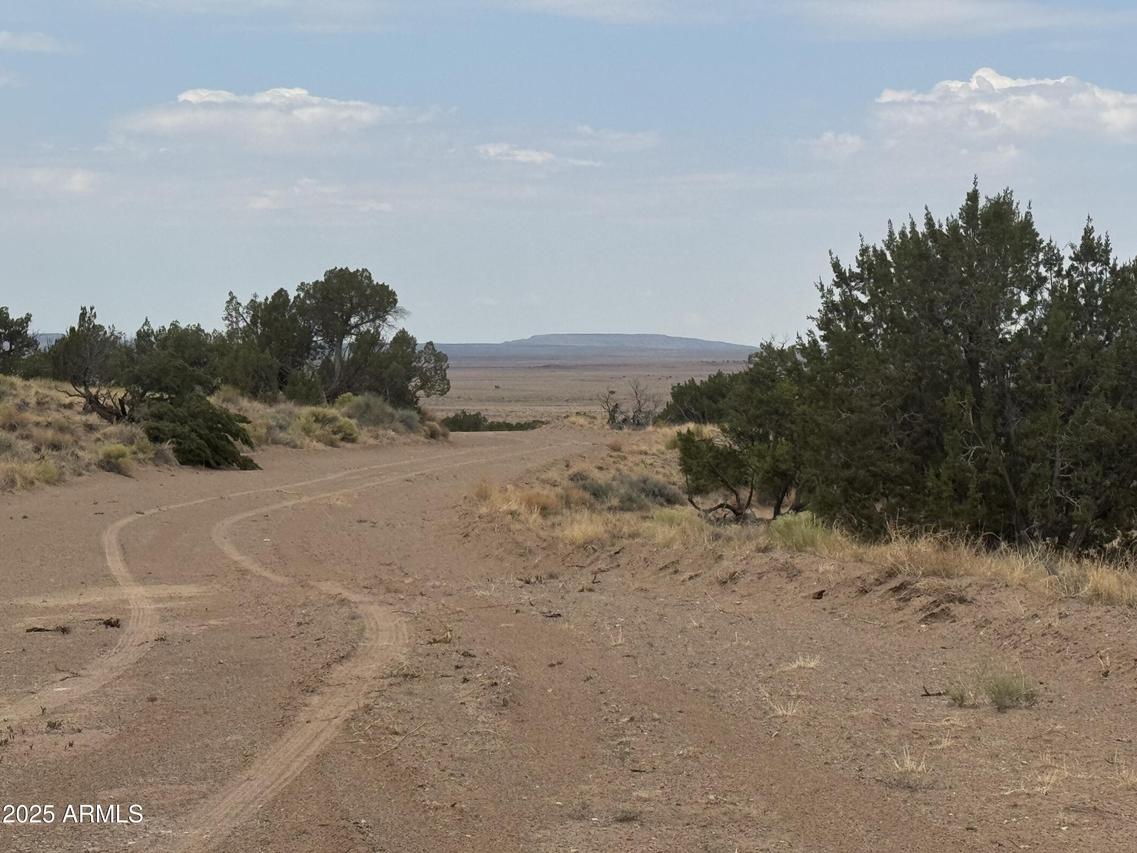 Lot 99 Carrizo Ranch #99, St Johns, AZ 85936