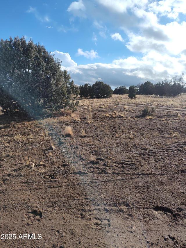 00000 N Deliverace #453, Seligman, AZ 86337