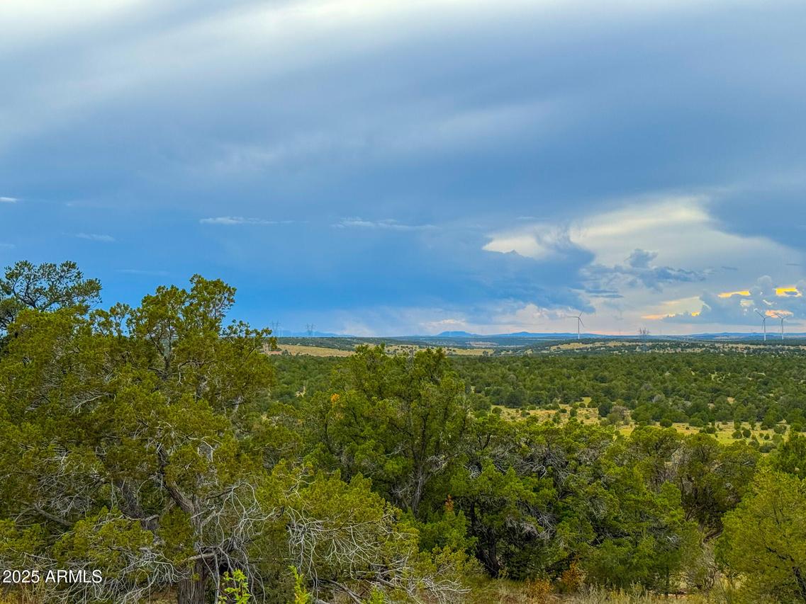 134 E Snowdrift Rd. #452, Williams, AZ 86046