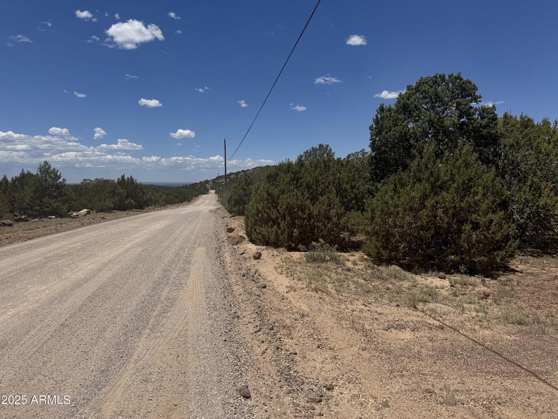 171 Acr 8088 #445, Concho, AZ 85924