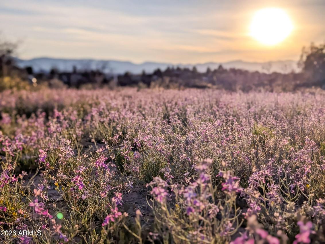 000 E Red Baron Dr. #405-25-757C, Rimrock, AZ 86335