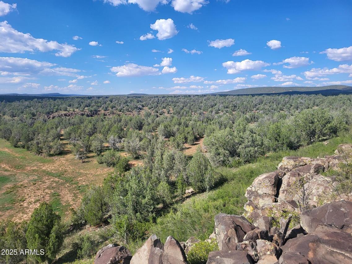 Lot 9 W Terry Ln. #9, Williams, AZ 86046