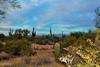 New Homes For Sale This Week in Rio Verde Foothills: August 22nd to August 28th