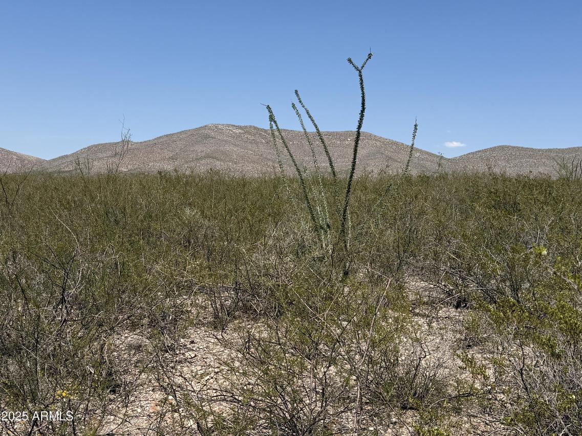 Lot 114 Valley Springs #114, Douglas, AZ 85607